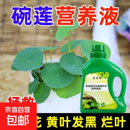 碗莲营养液肥料促开花液体肥荷花肥料促根生根睡莲水培营养液 碗莲